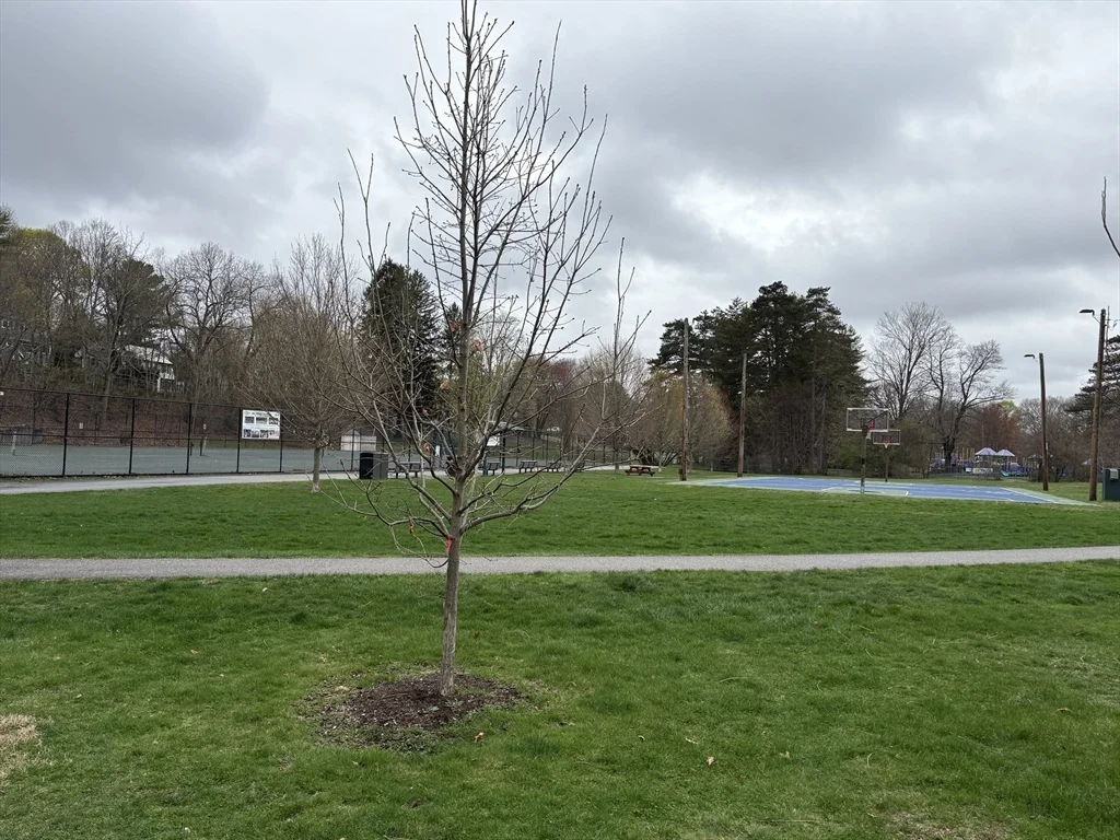 2 Willow Ter, Newton