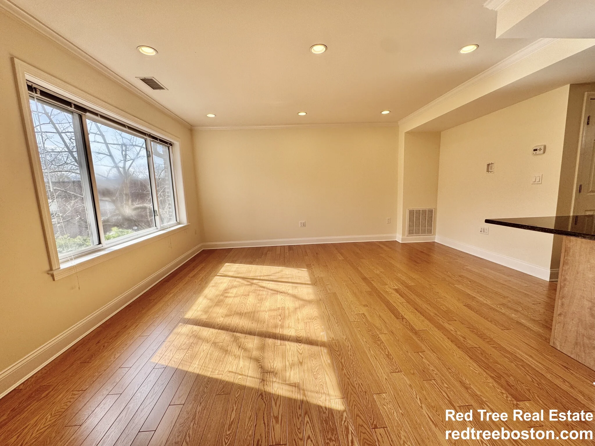 146 Independence Dr, Chestnut Hill