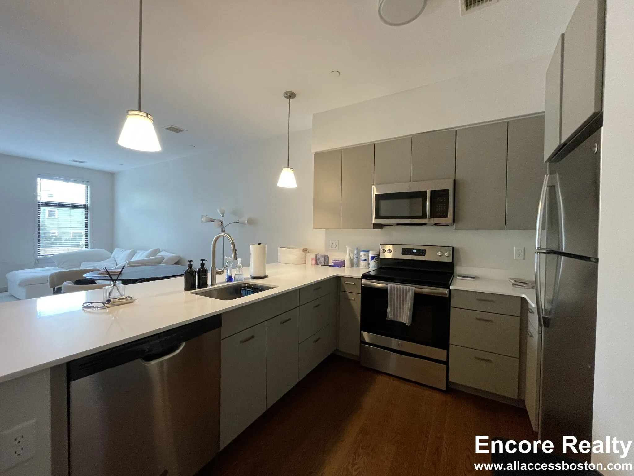 455 Harvard St, North Brookline