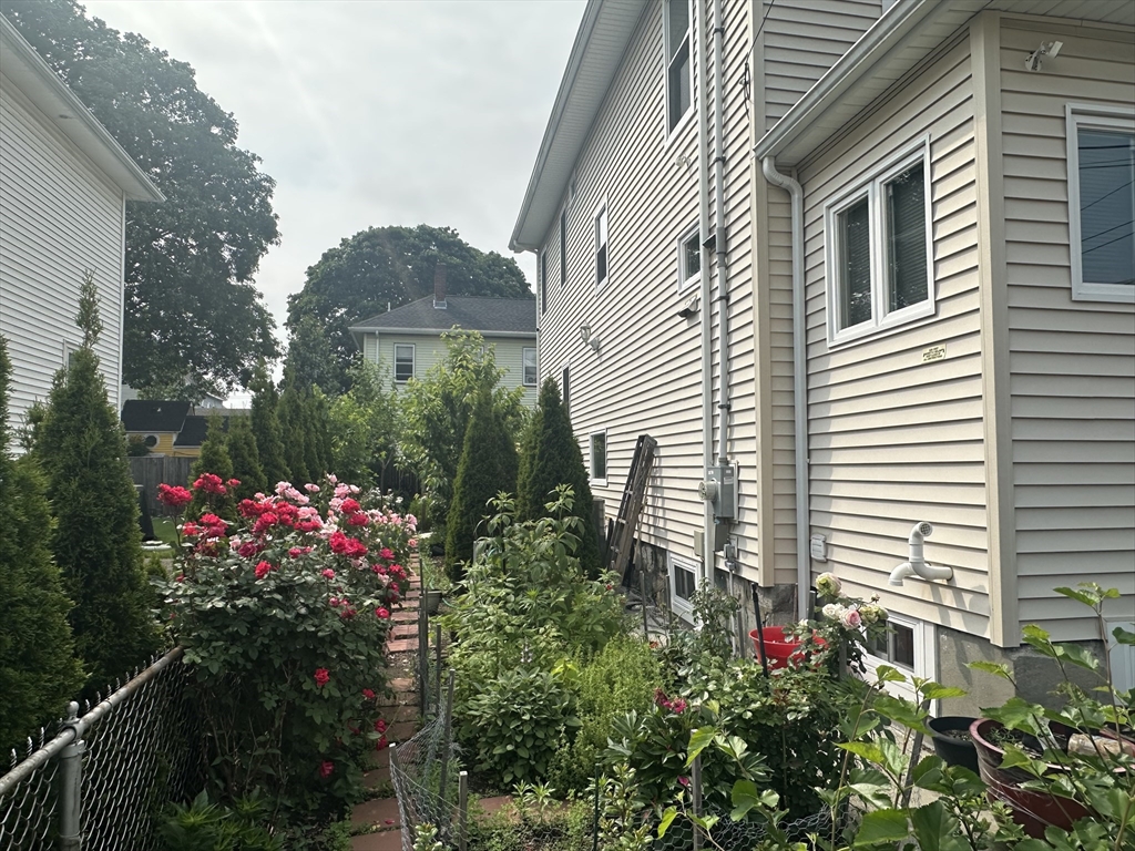 62 Antwerp, Brighton