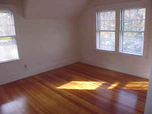 25 Woodward St, Newton Highlands