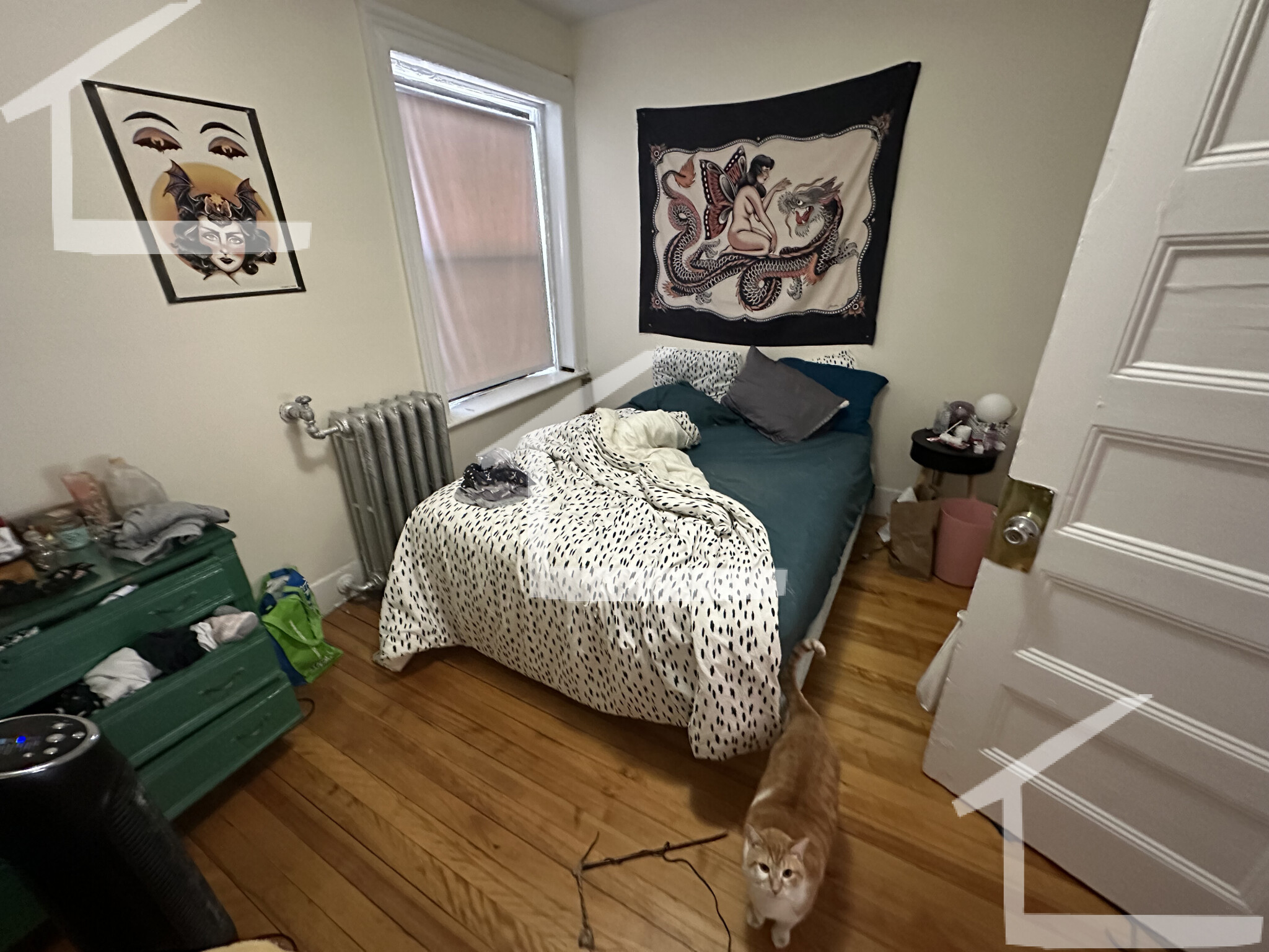 19 Brighton Ave, Allston