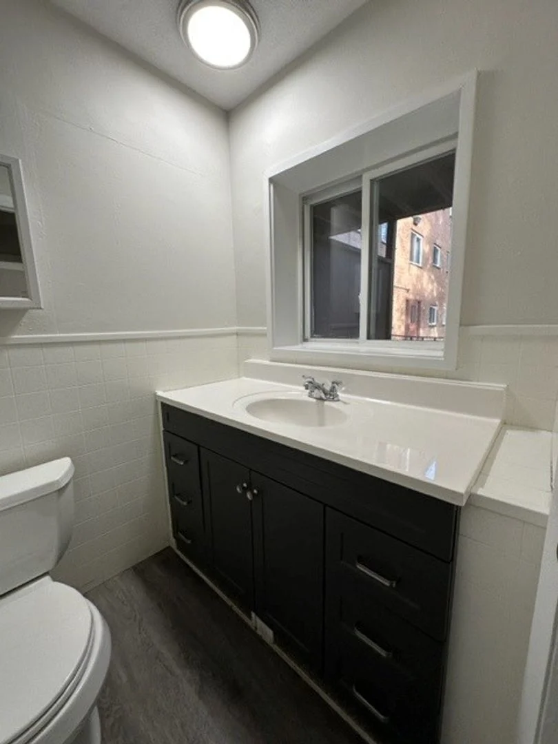 731 River St, Hyde Park