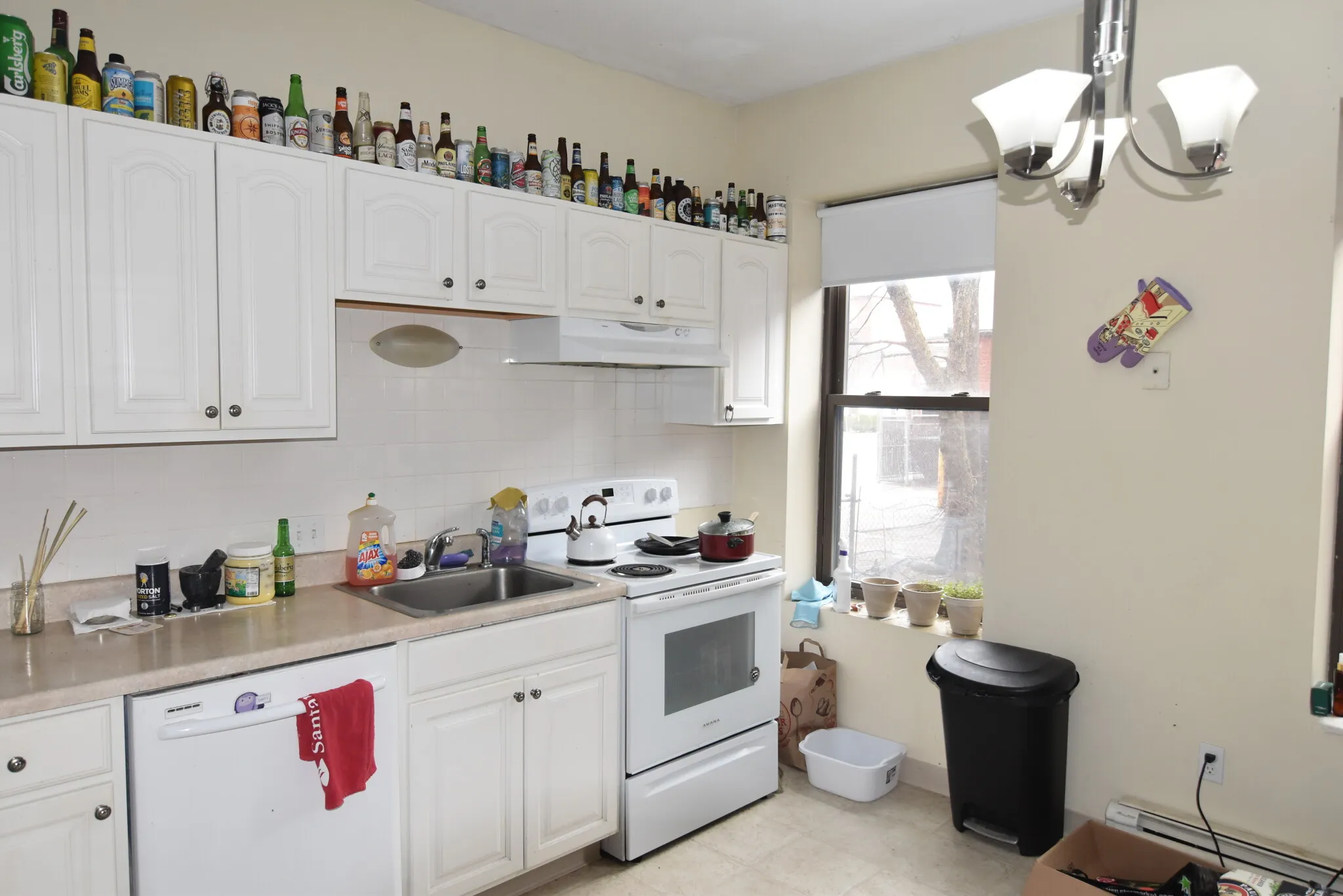 5 Royce Rd, Allston