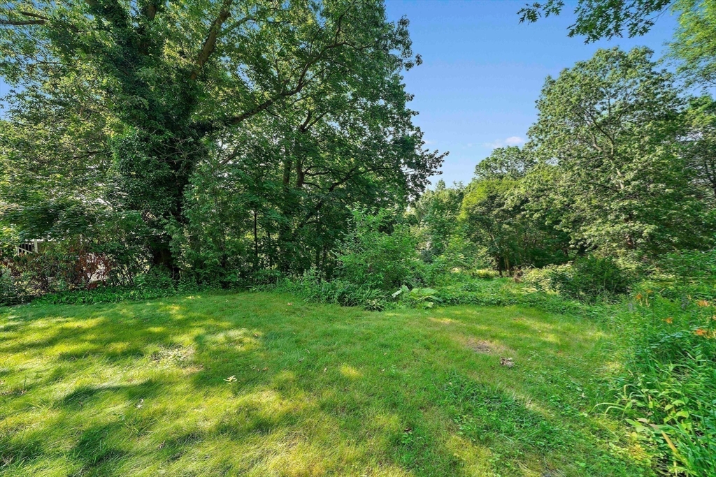 45 Bridge St, Lexington