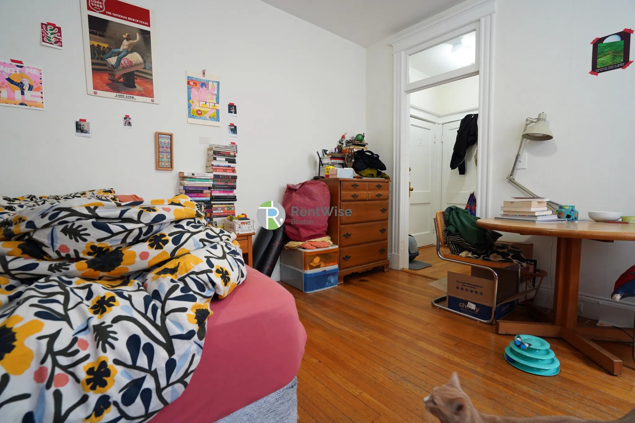 14 Orkney Rd, Brighton