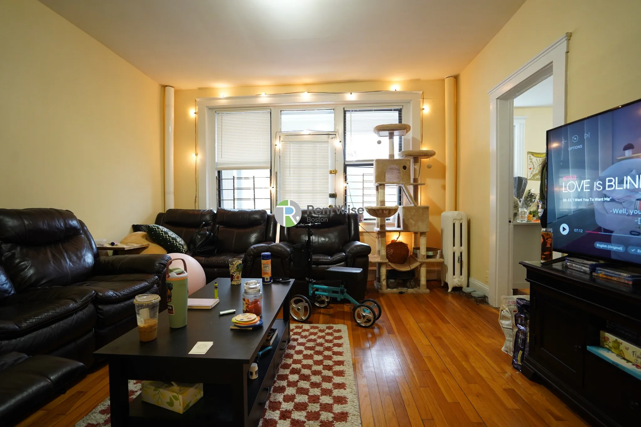 3 Carol Ave, Brighton