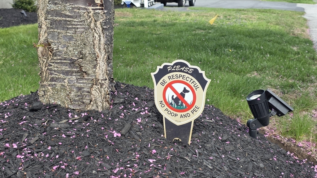 20 Reeves St, Quinsigamond Valley