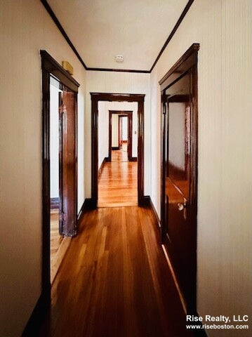 9 Roberts Rd, Mid-Cambridge