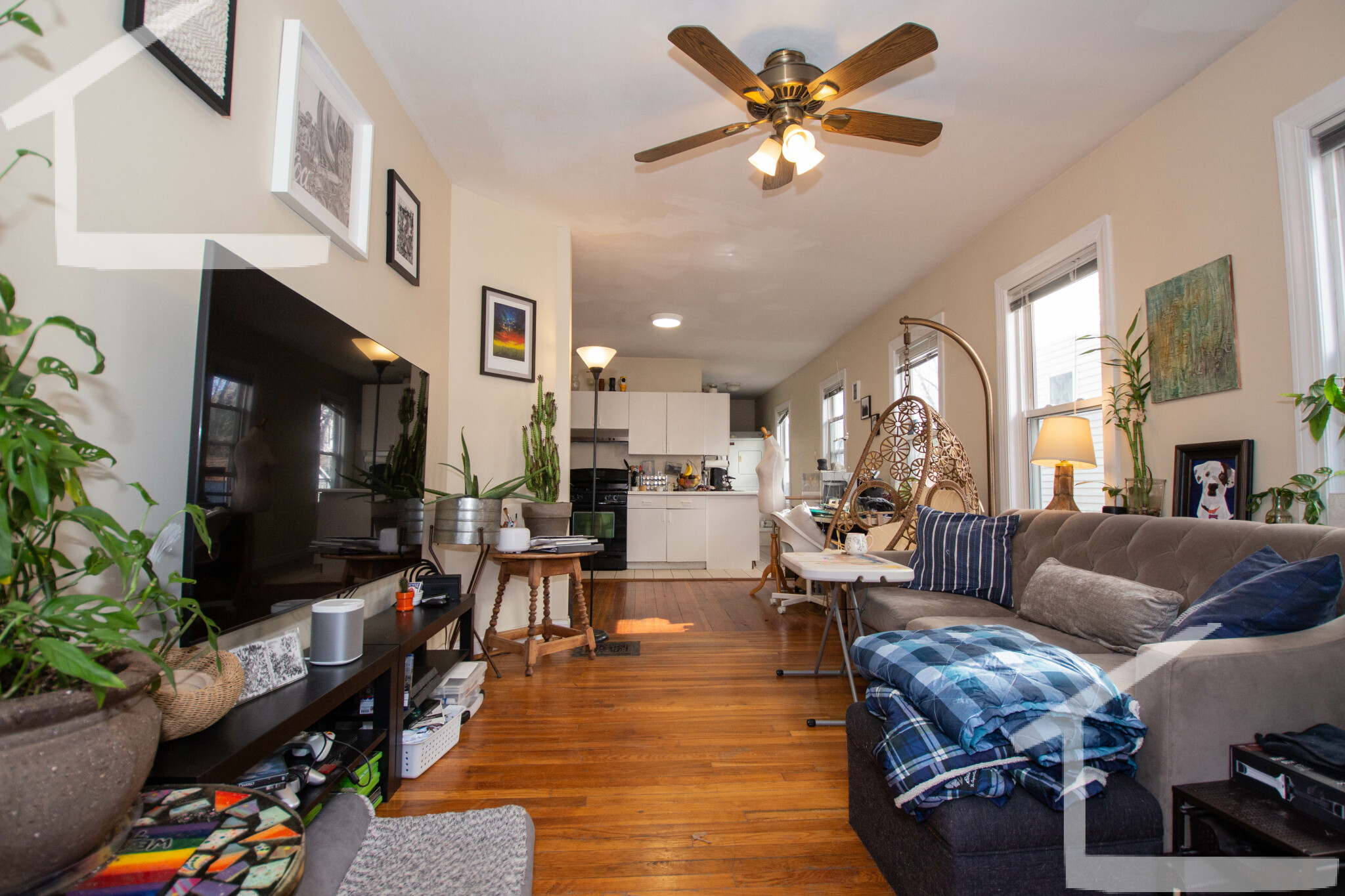 104 Dustin St, Brighton