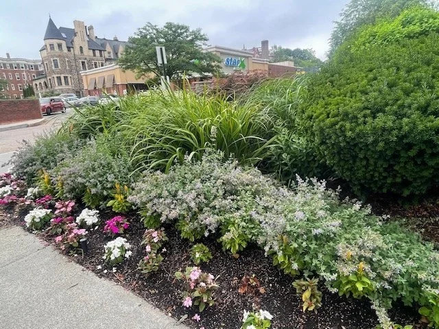 1731 Beacon St, Brookline