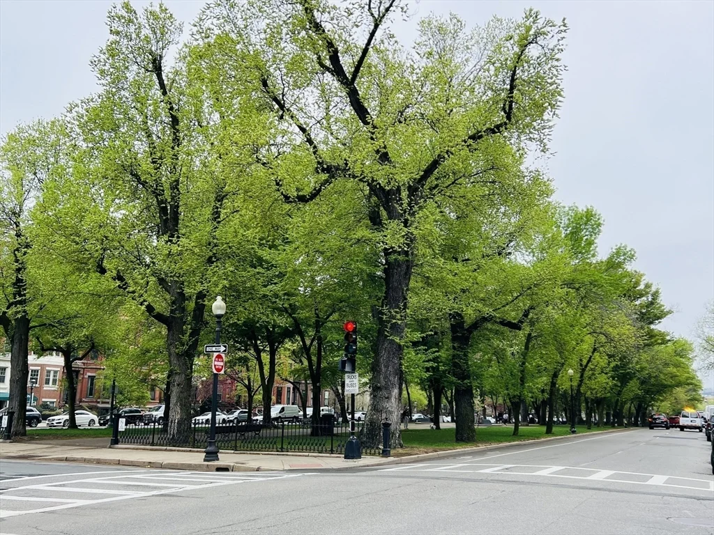 3 Fairfield St, Back Bay