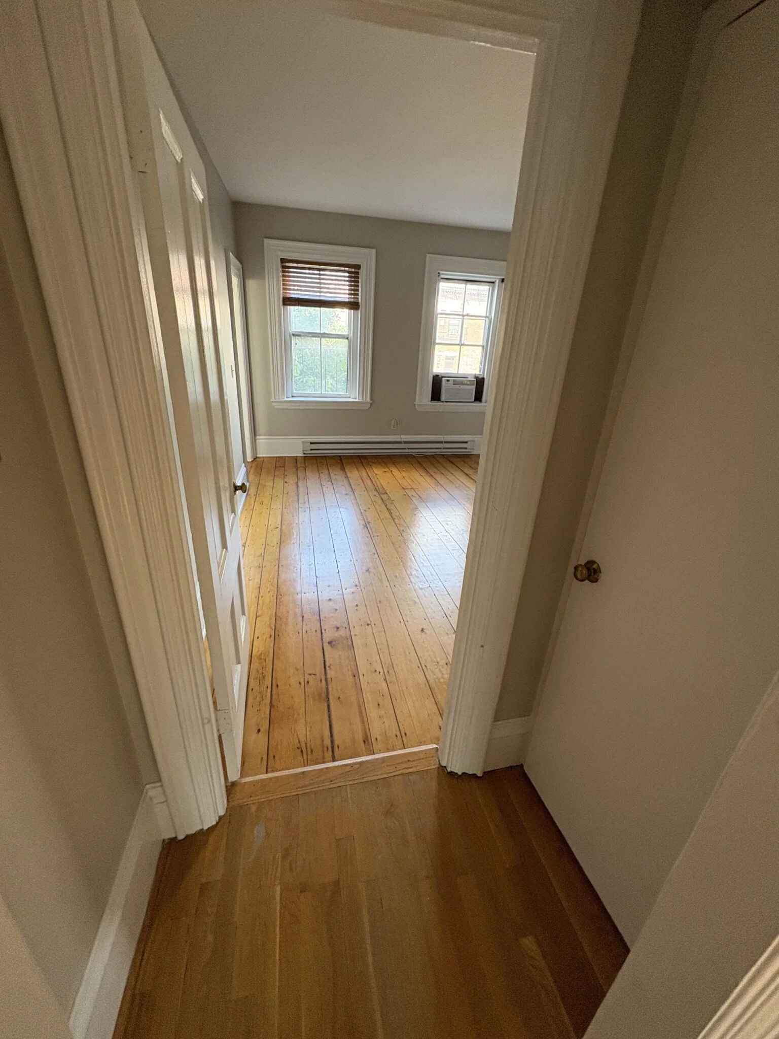 54 East Springfield St, South End