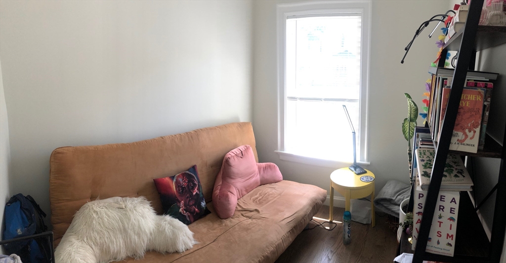 46 Sheridan St, Jamaica Plain