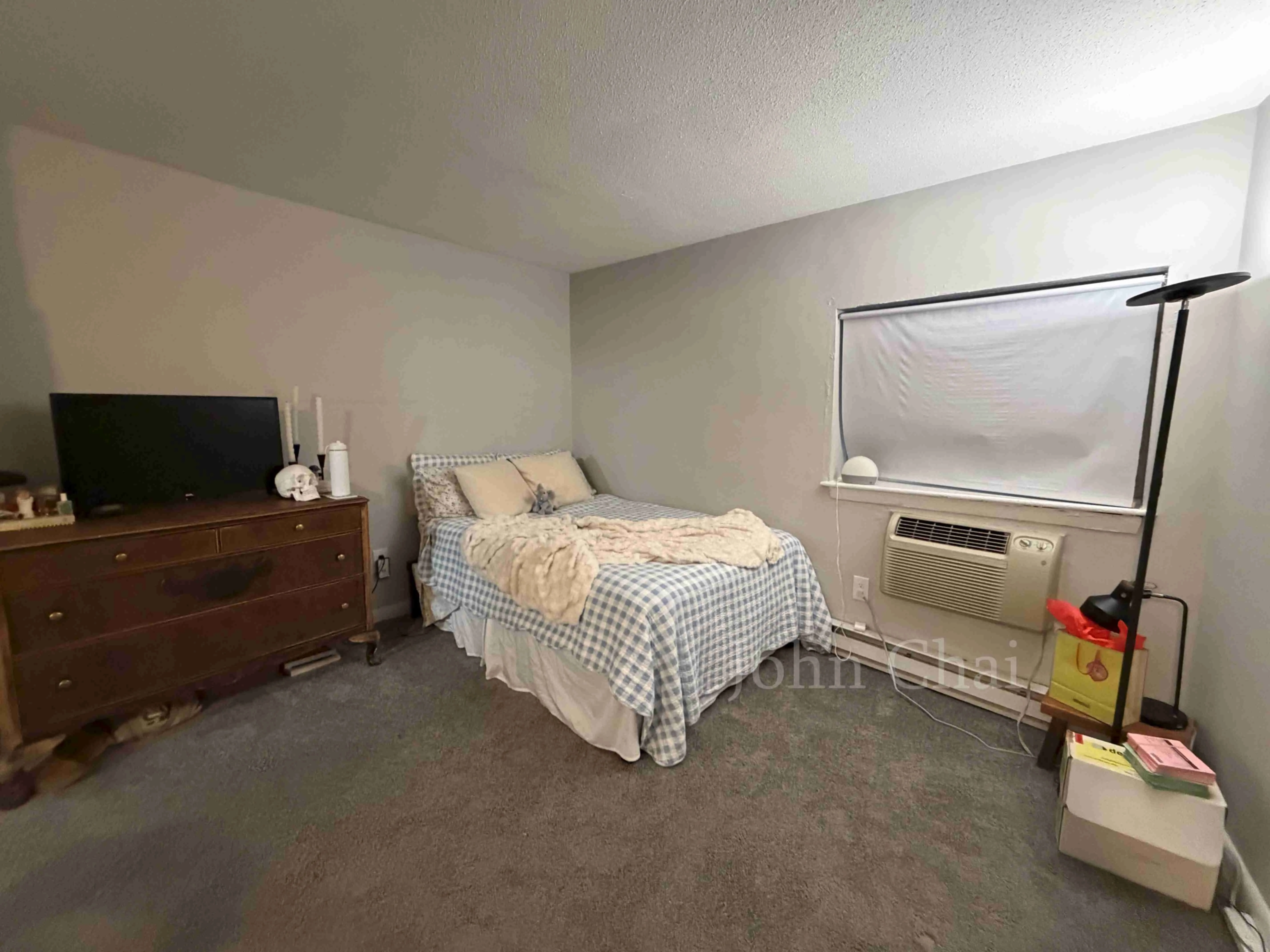 231 Harrison Ave, Chinatown