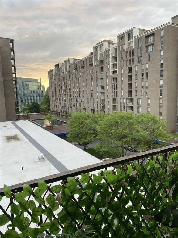 77 Pond Ave, Brookline Village