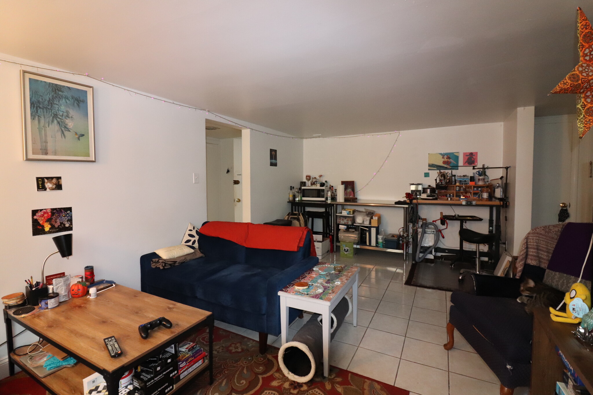 118 Babcock St, North Brookline