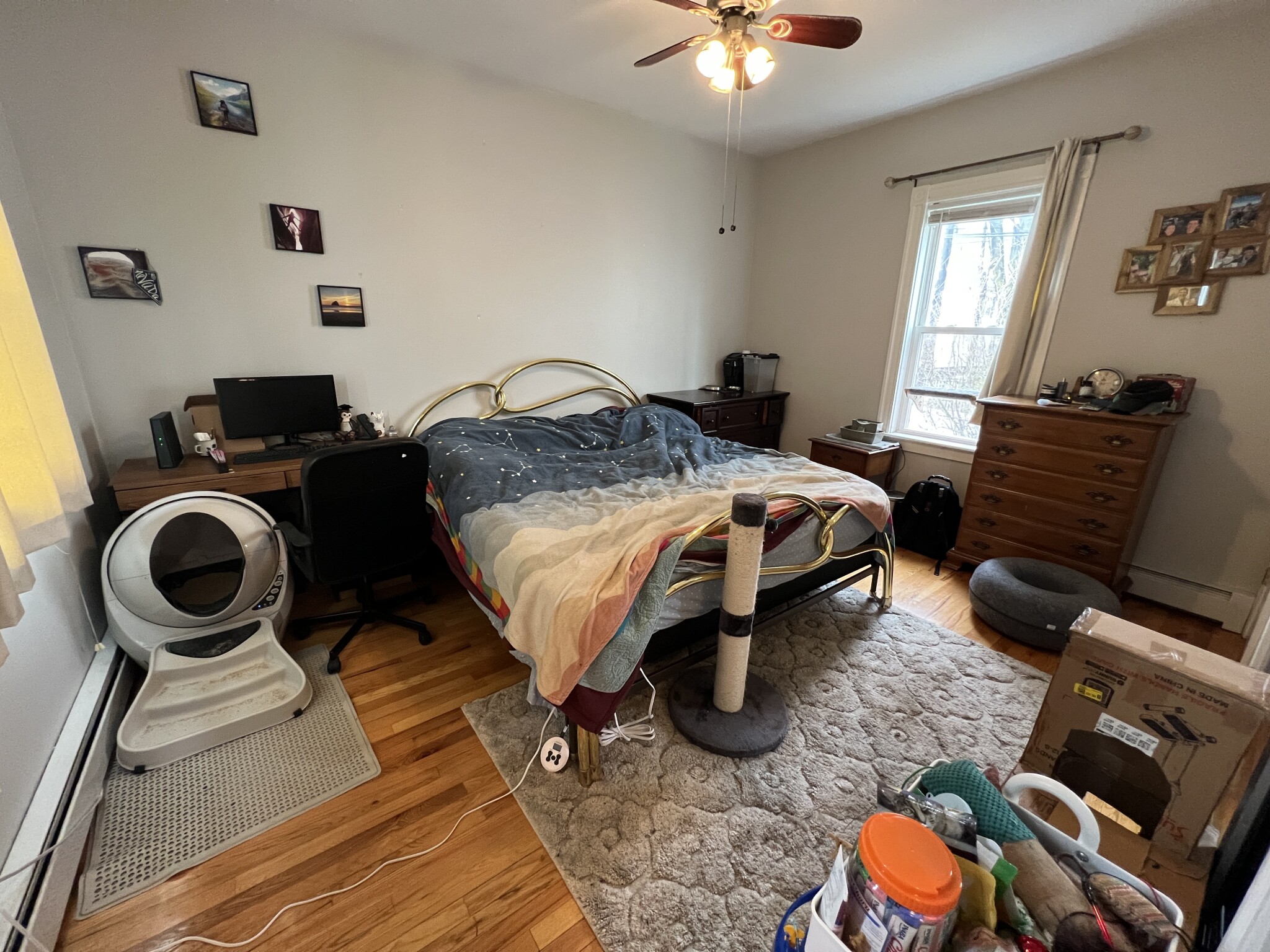 1 Victoria St, West Somerville