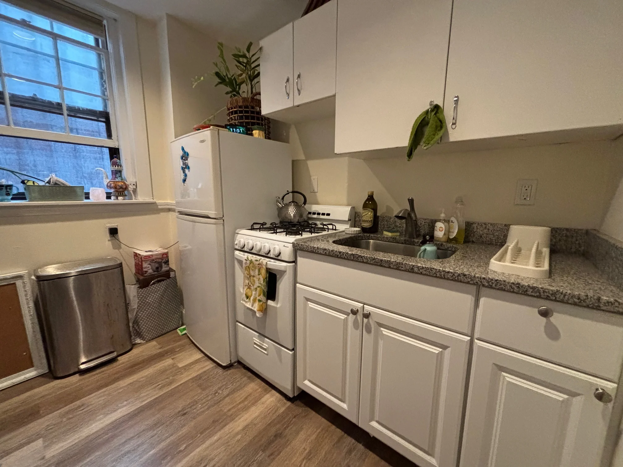 26 Myrtle St, Beacon Hill