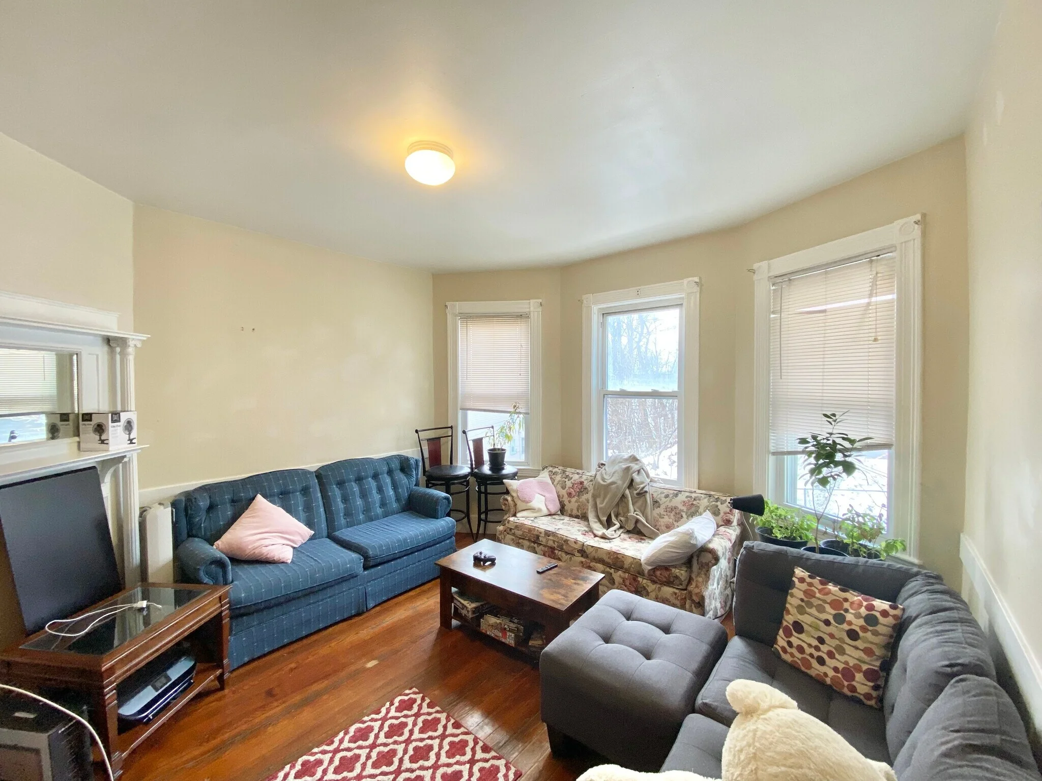 21 Bucknam St, Mission Hill