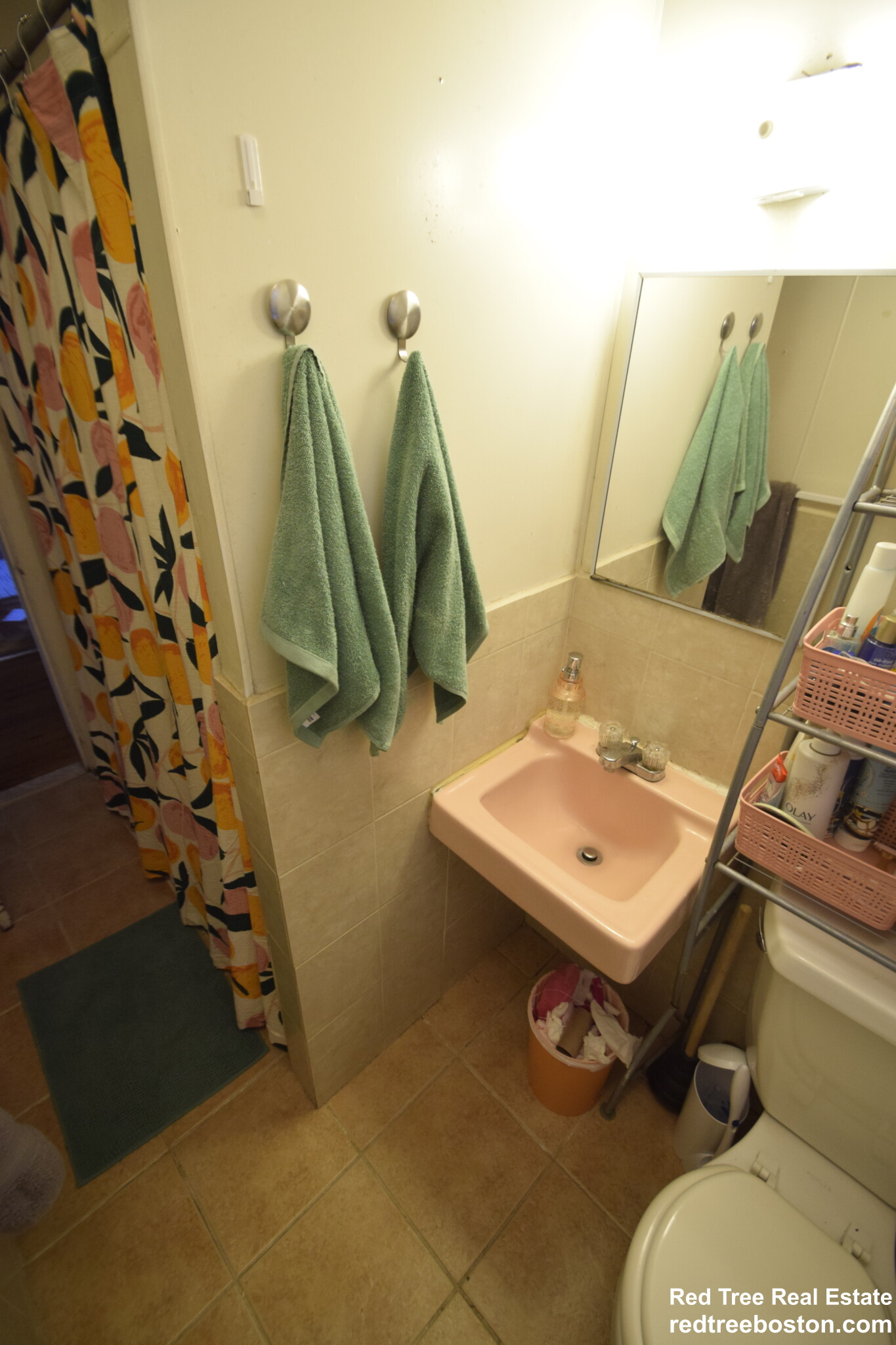 17 Aberdeen St, Fenway