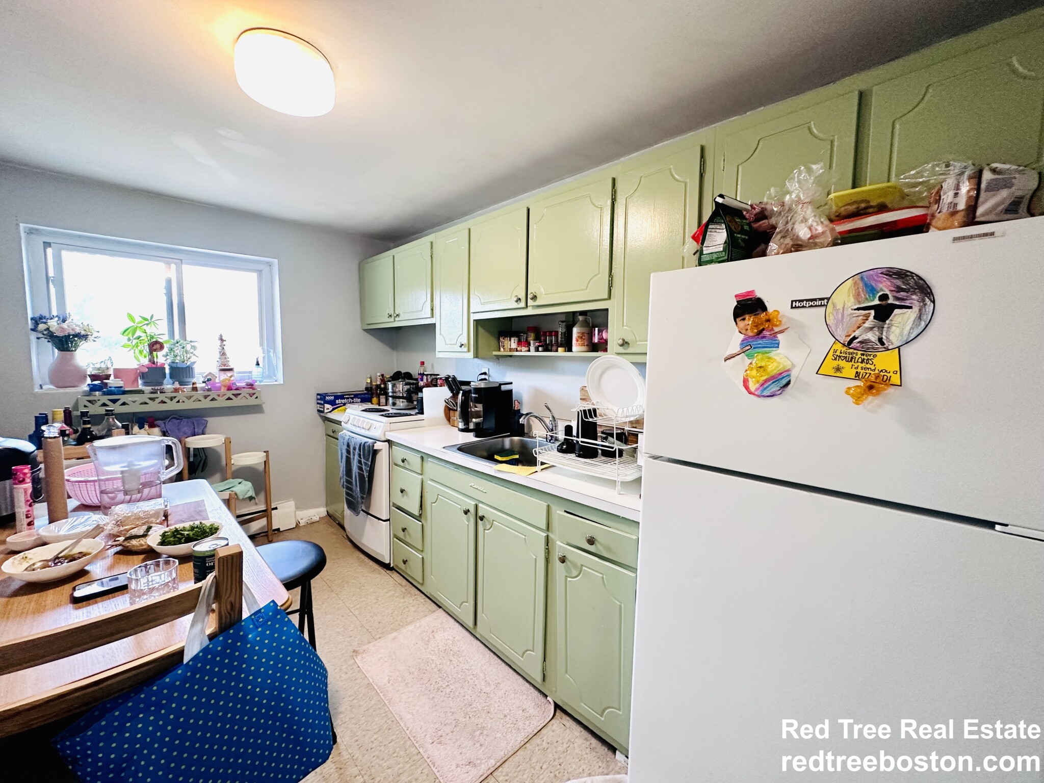 14 Bryon Rd, Chestnut Hill