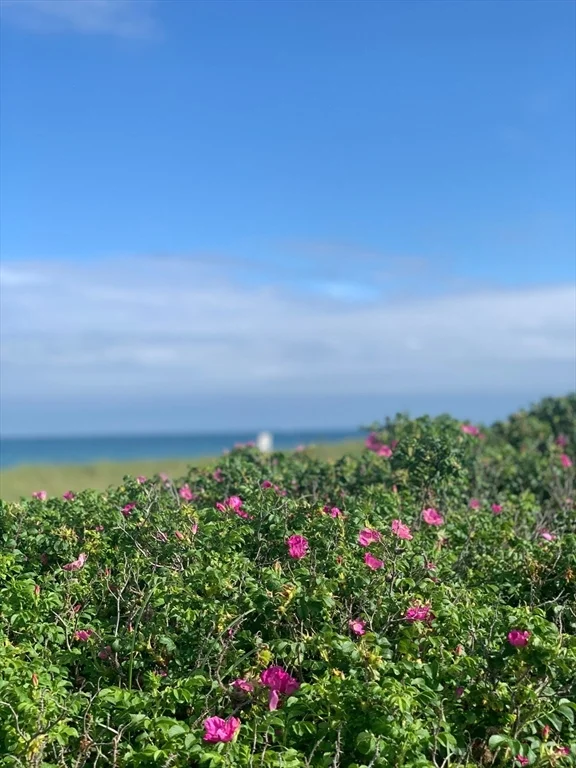 28 Morey Ln, Nantucket