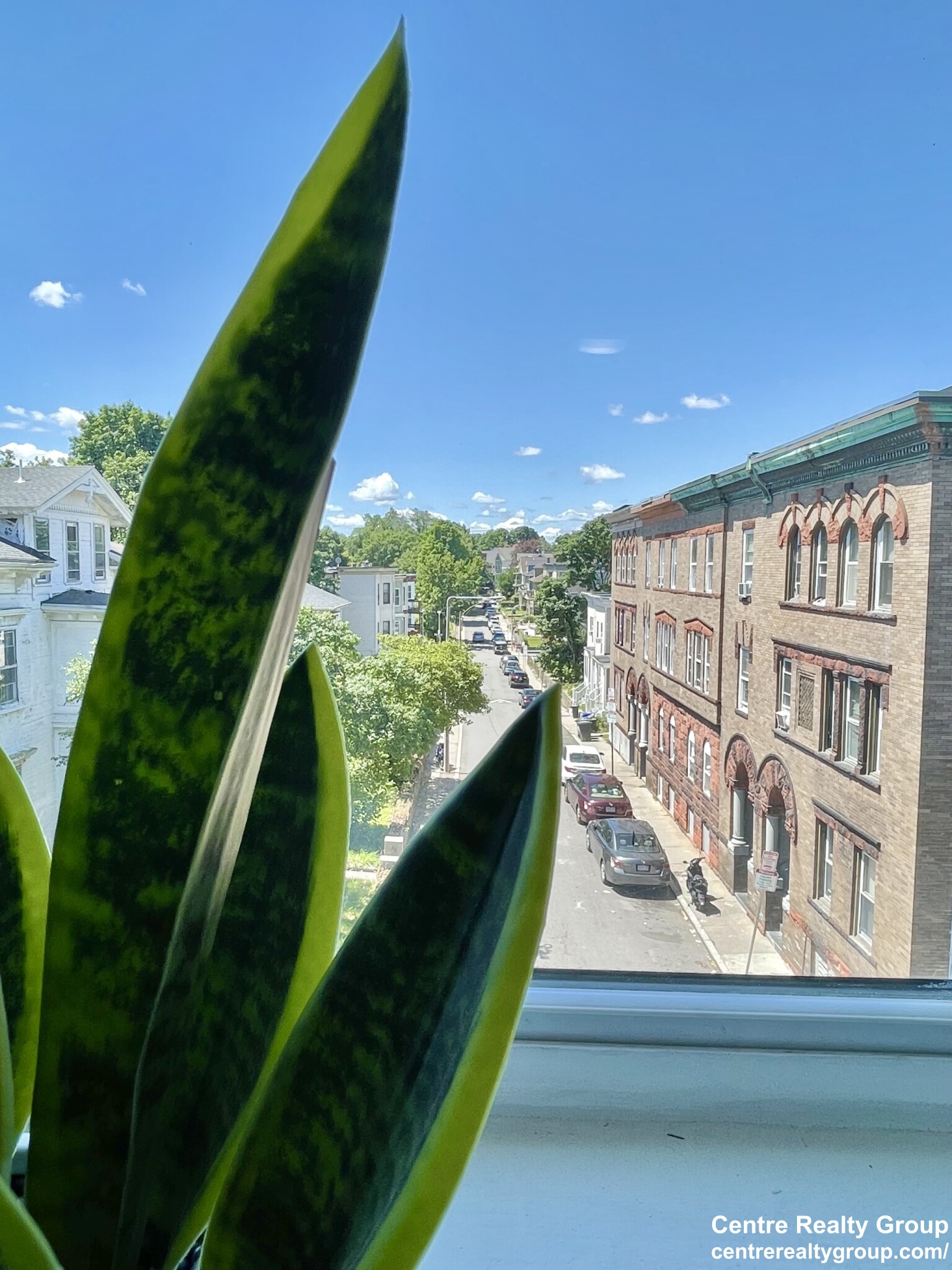 94 Mount Pleasant Ave, Roxbury
