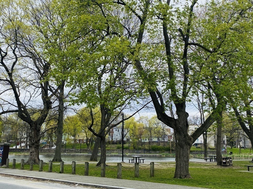 20 Crystal, Worcester