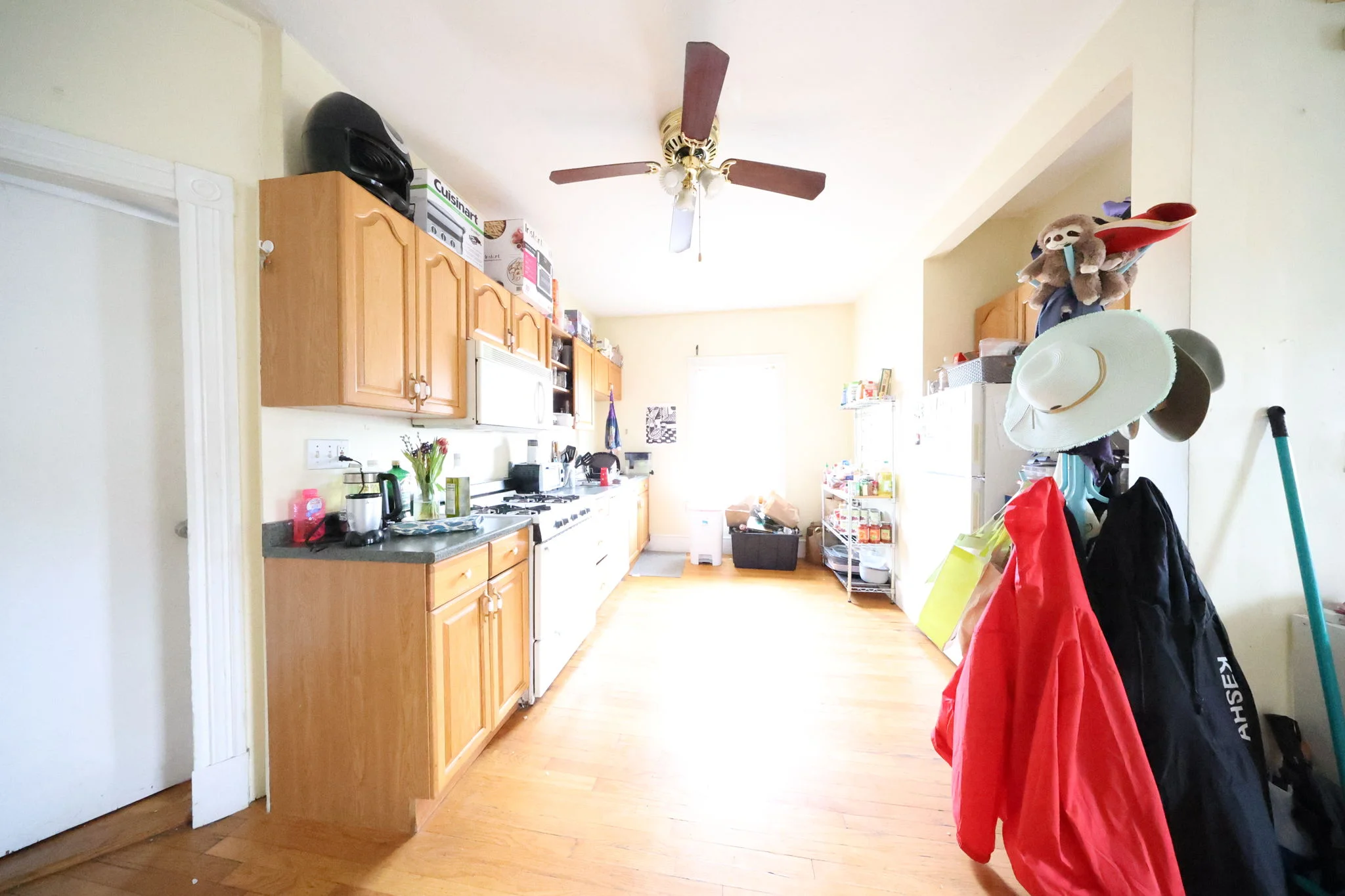 3 Foster St, Brighton