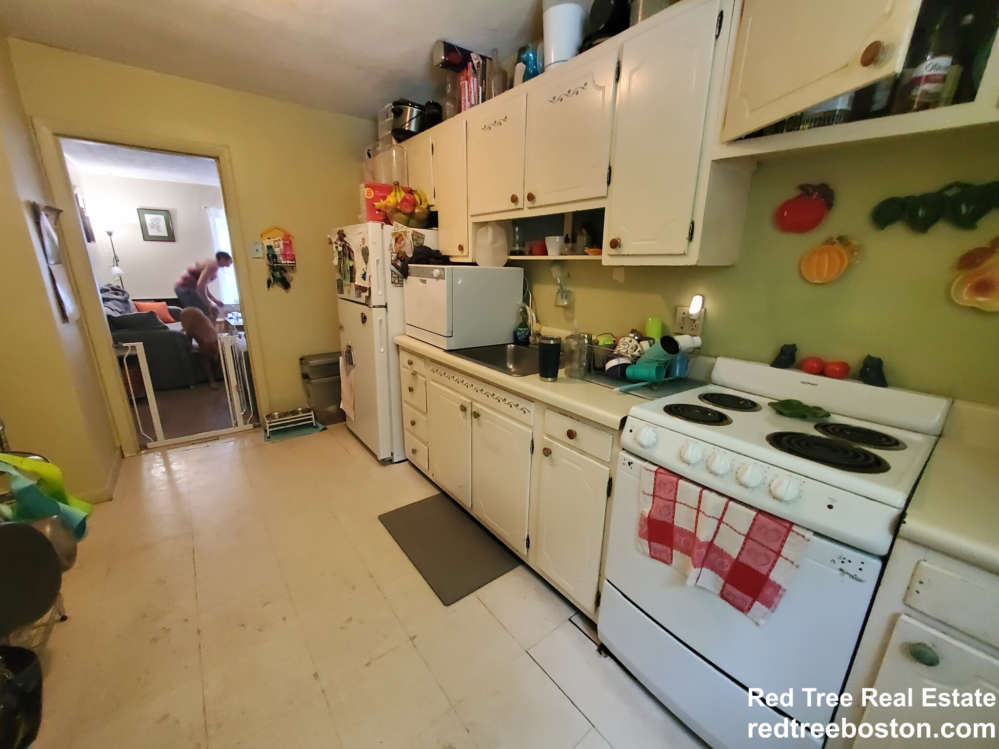 35 Westgate Rd, Chestnut Hill