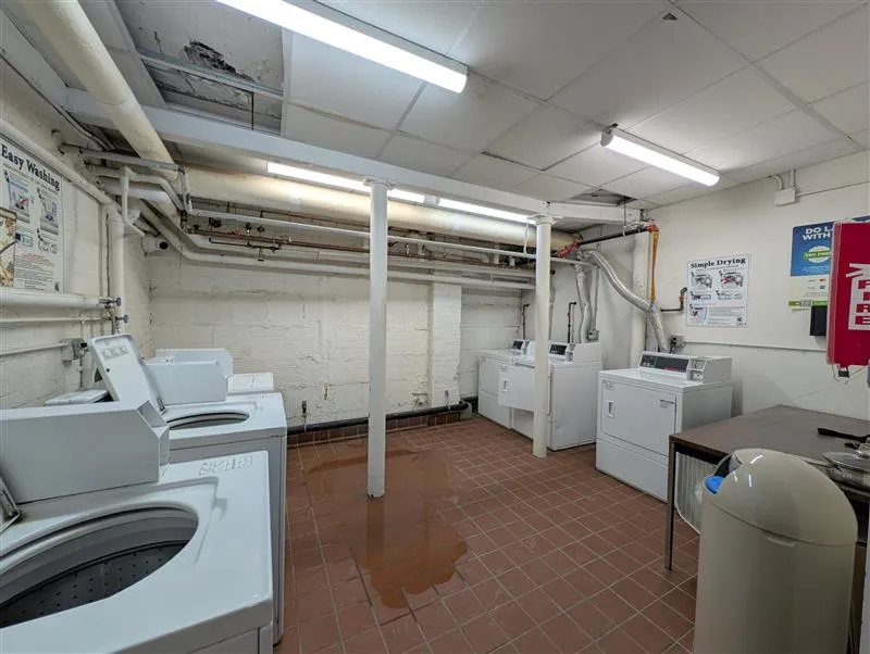 5 Linnaean St, Neighborhood Nine