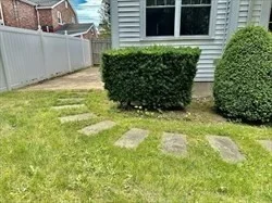 74 Chapel St, Newton