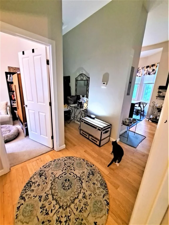 49 Cedar St, Roxbury
