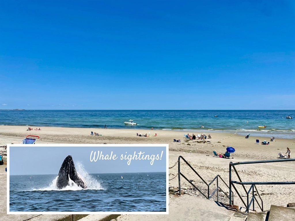 28 Cochituate Rd, Priscilla Beach