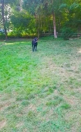 61 Houghton St, Hudson