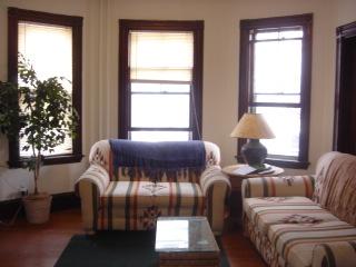 17 Hillside St, Mission Hill