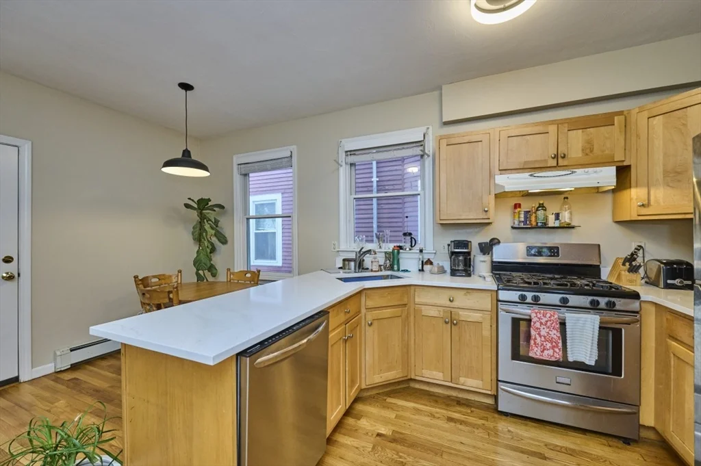 14 Haverford St, Jamaica Plain
