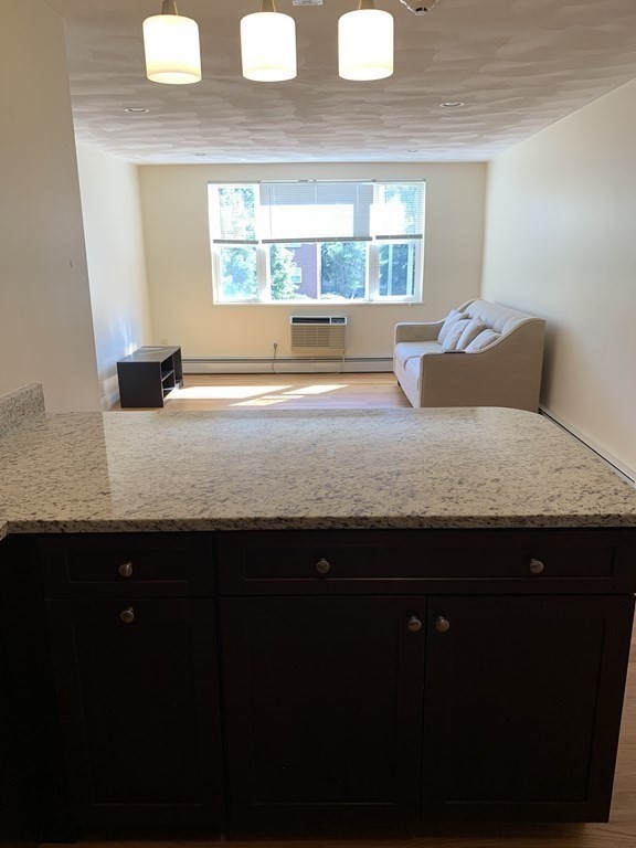 1105-4 Lexington St, Lakeview