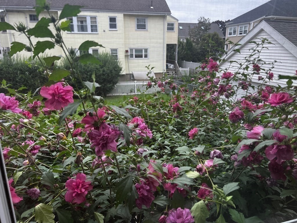 9 Loring St, Belmont