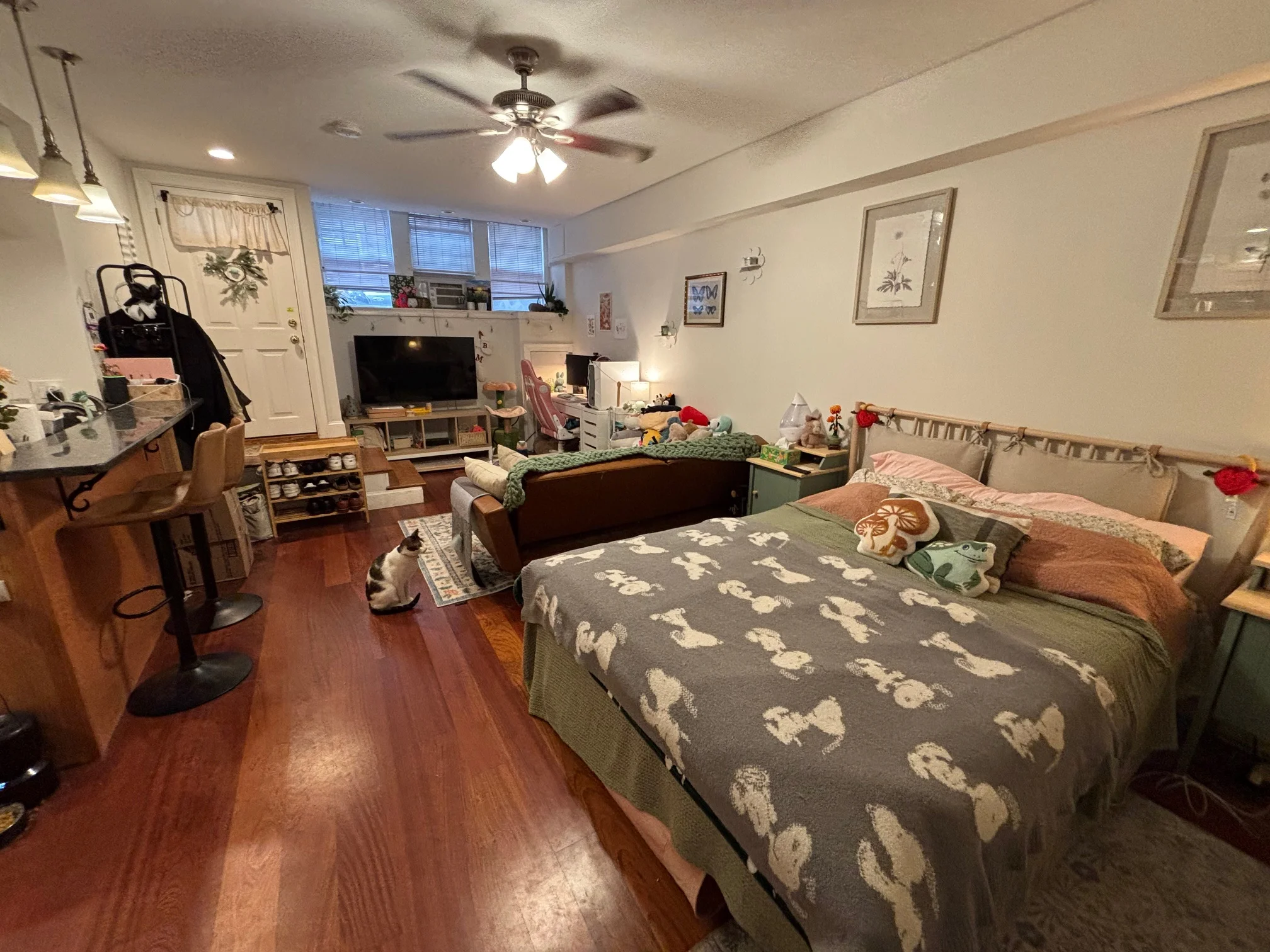 7 Grove St, Beacon Hill