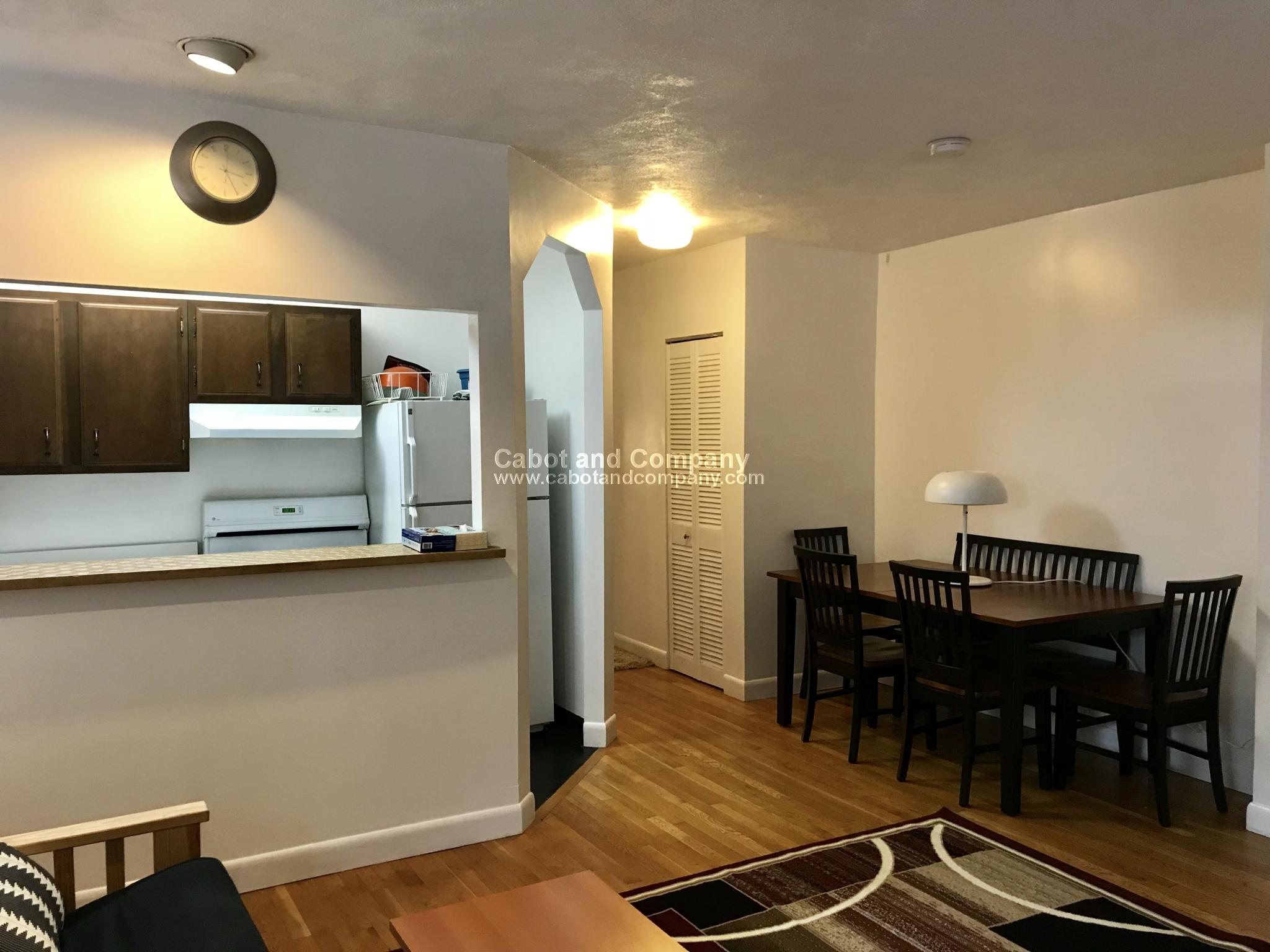 8 Follen St, Back Bay