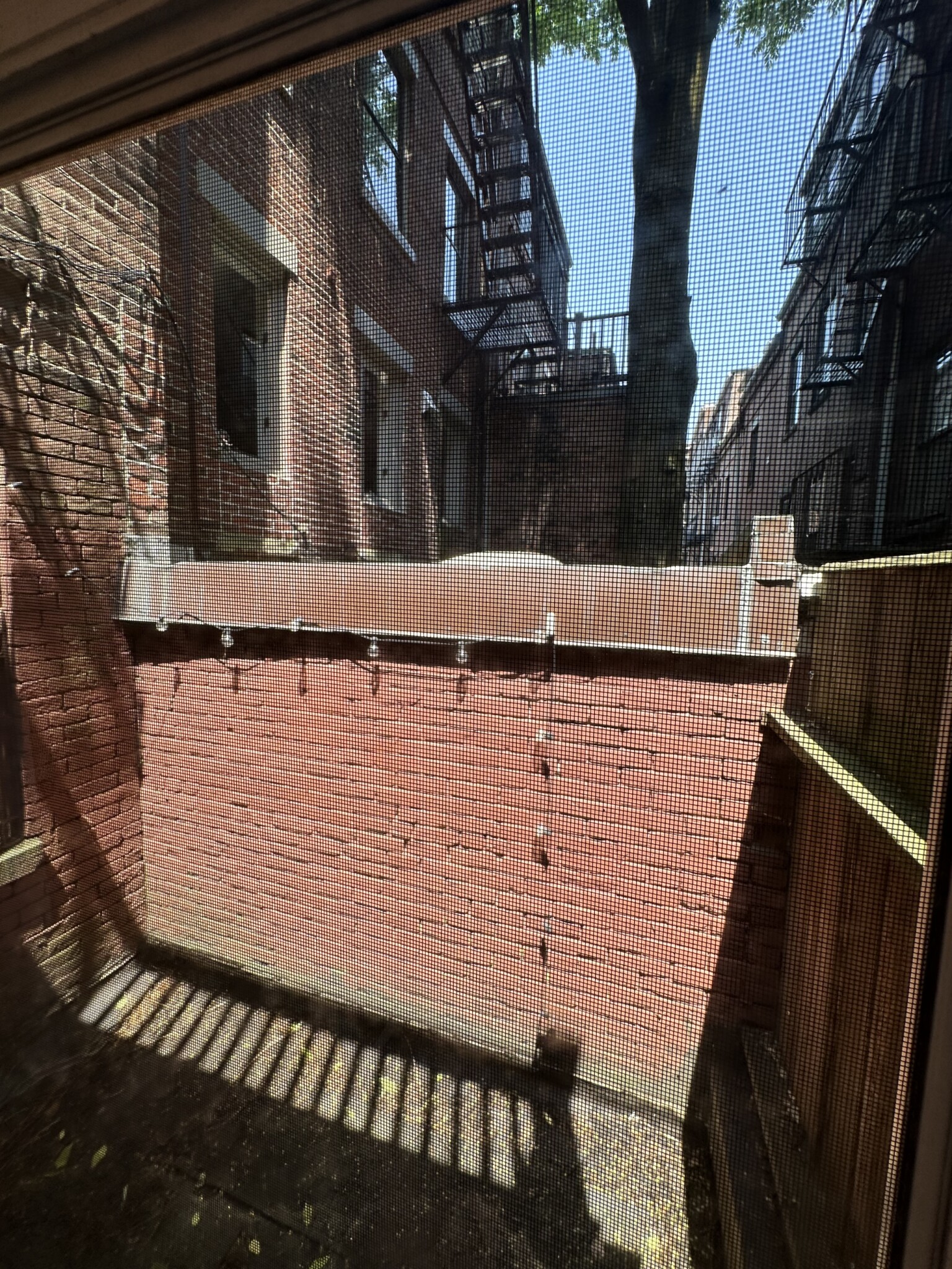 32 Irving, Beacon Hill