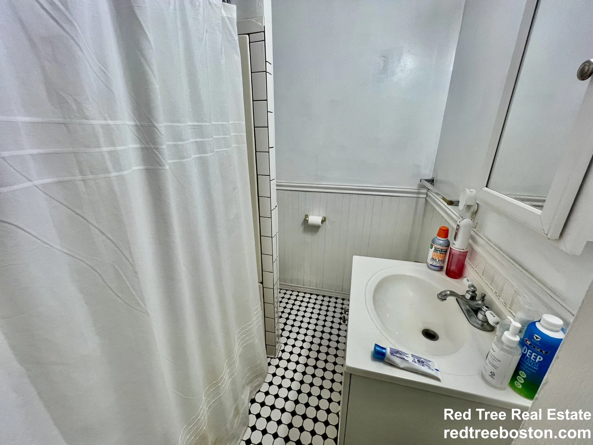 62 Egmont St, North Brookline