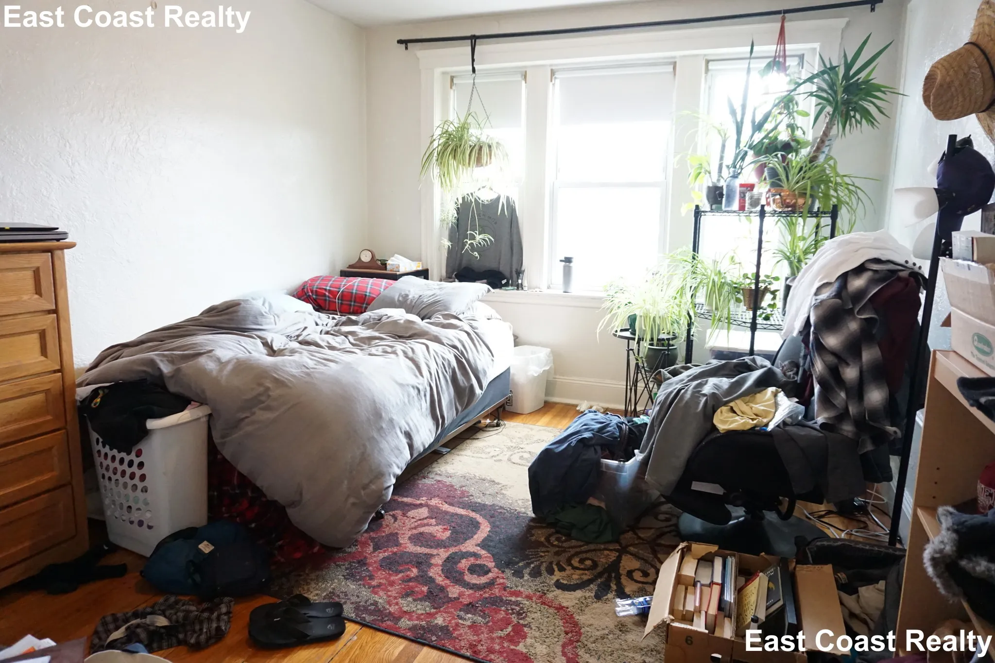 55 Linden St, Allston