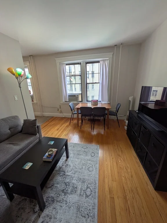 370 Chestnut Hill Ave, Brighton