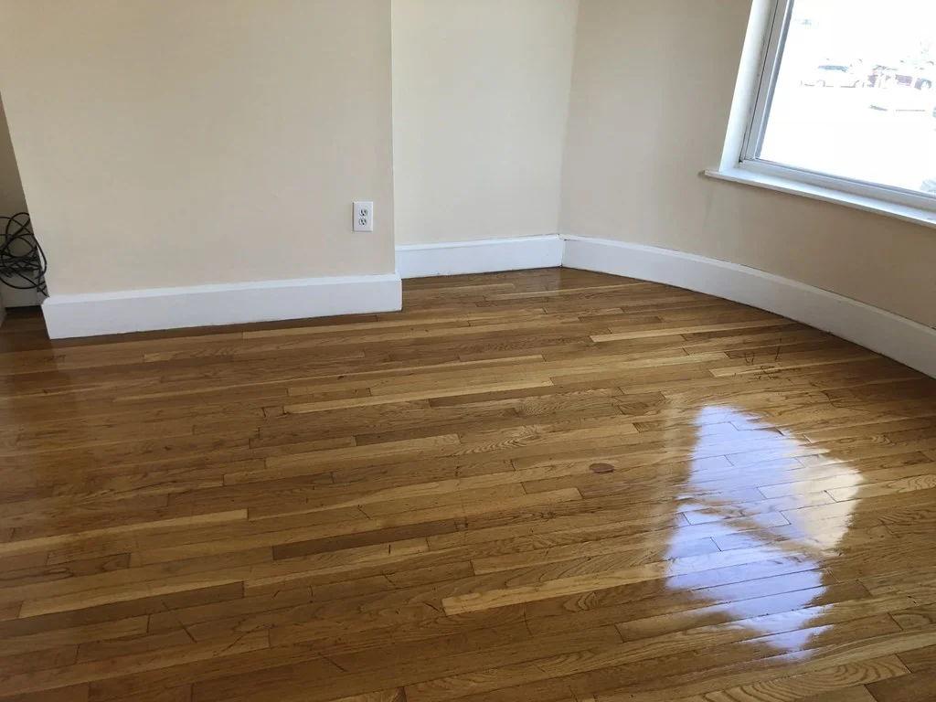 883 Harrison Ave, South End