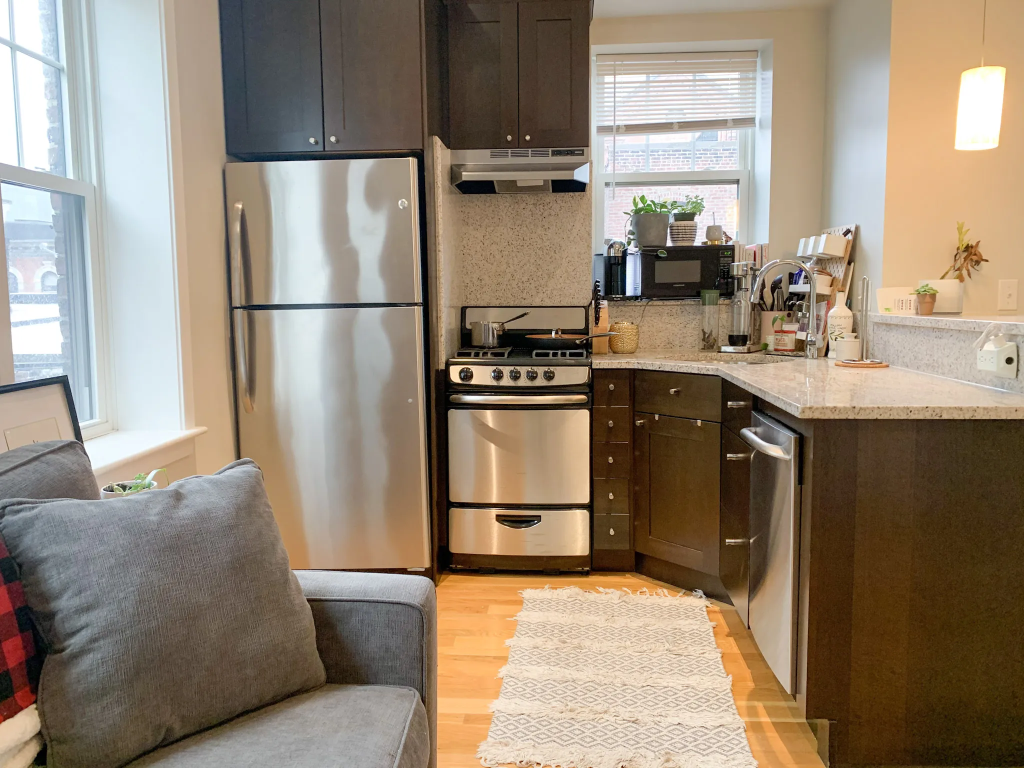 33 Anderson St, Beacon Hill