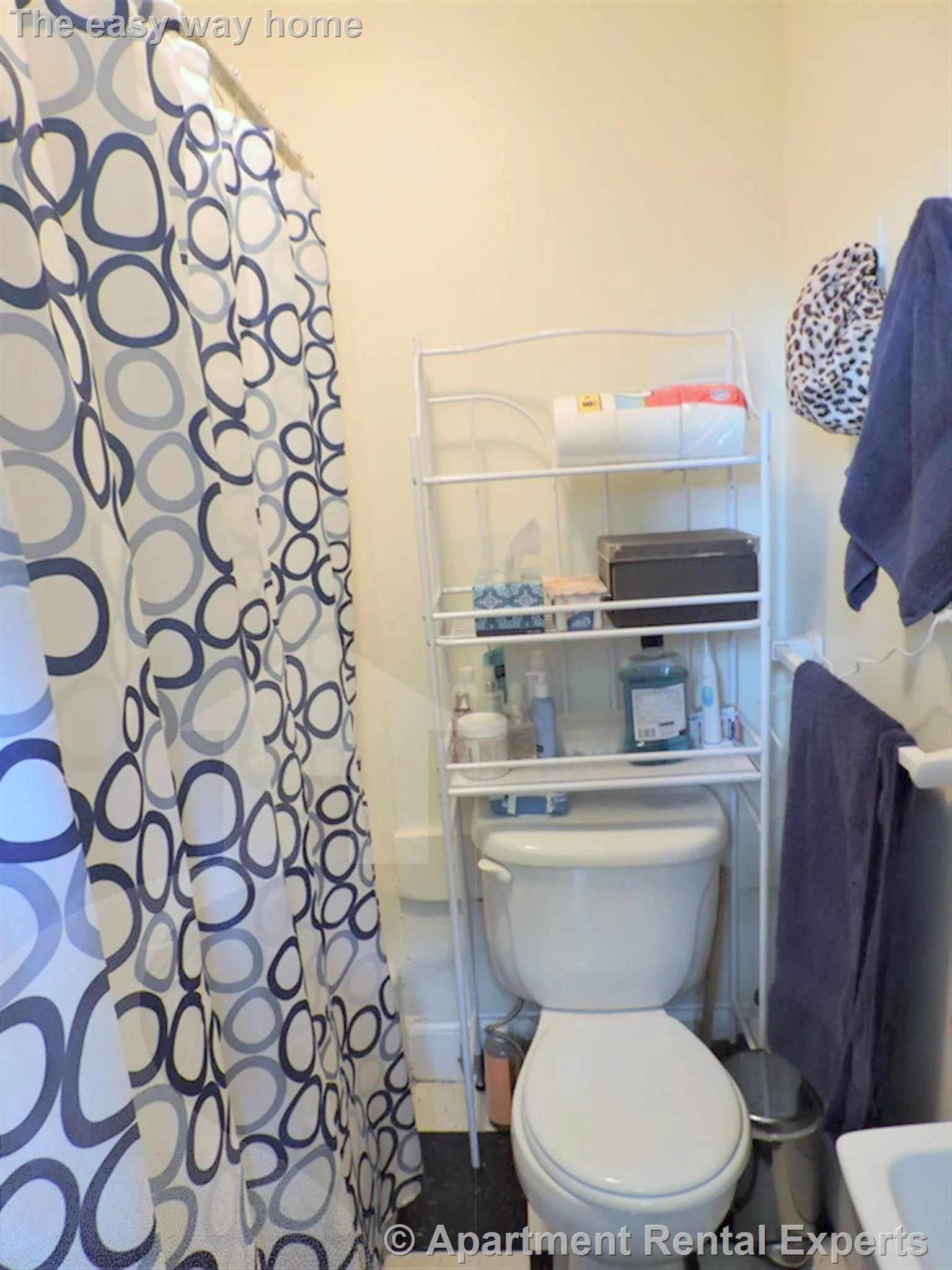 331 Harvard St, Harvard Square