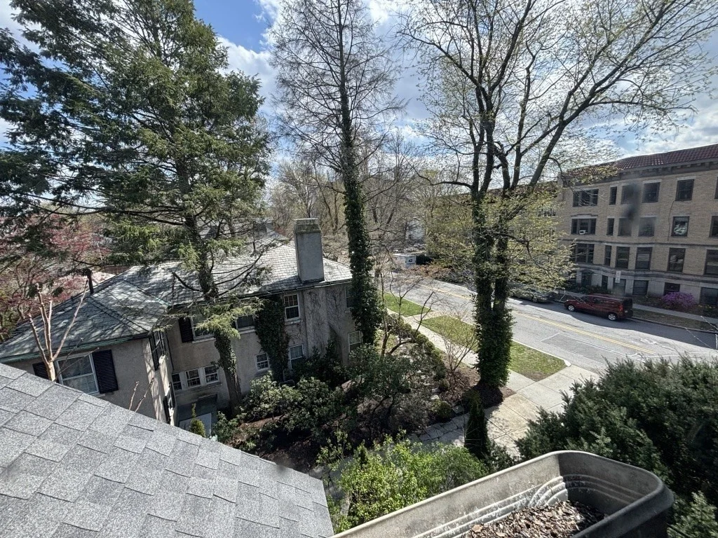 41 Powell St, Brookline